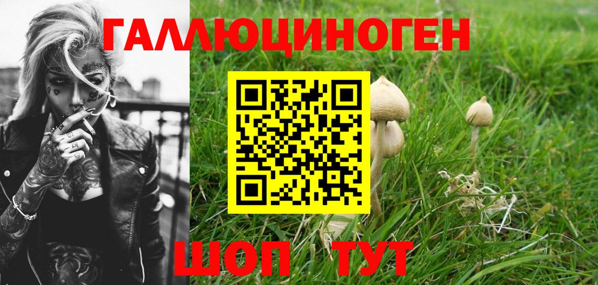 Галлюциногенные грибы мухоморы Конаково