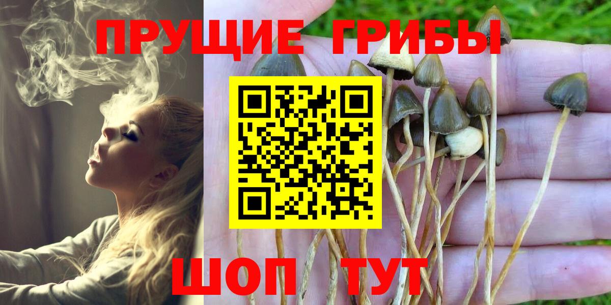 Псилоцибиновые грибы ЛСД  Вход с VPN  Псилоцибиновые грибы Psilocybine cubensis  Конаково 